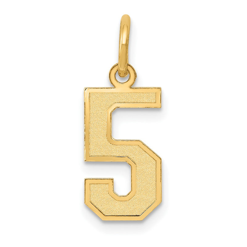 14k Yellow Gold 14k Small Satin Number 5 Charm