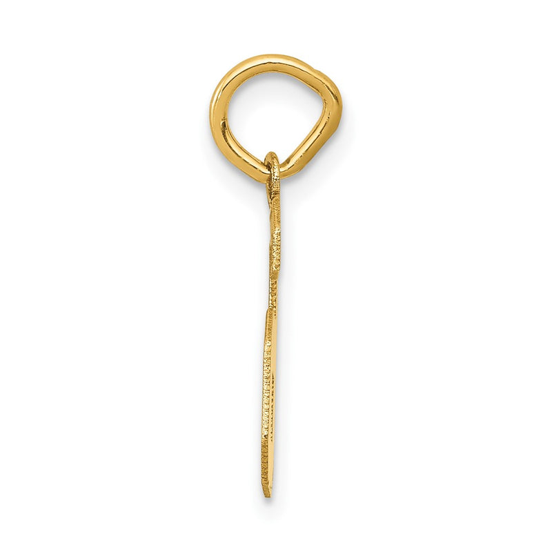 14k Yellow Gold 14k Small Satin Number 6 Charm