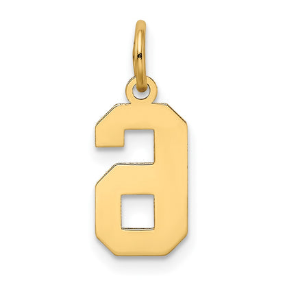14k Yellow Gold 14k Small Satin Number 6 Charm