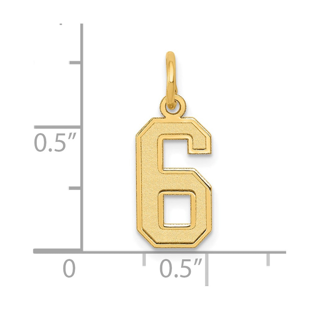 14k Yellow Gold 14k Small Satin Number 6 Charm