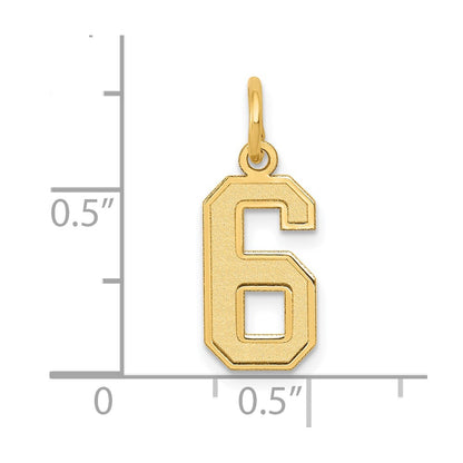 14k Yellow Gold 14k Small Satin Number 6 Charm