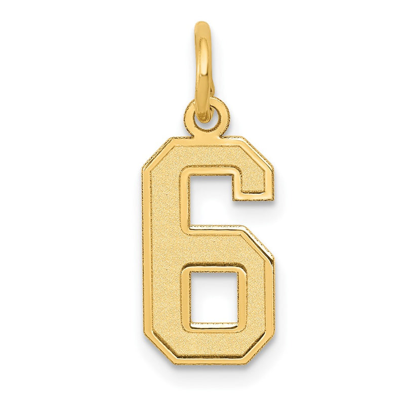 14k Yellow Gold 14k Small Satin Number 6 Charm