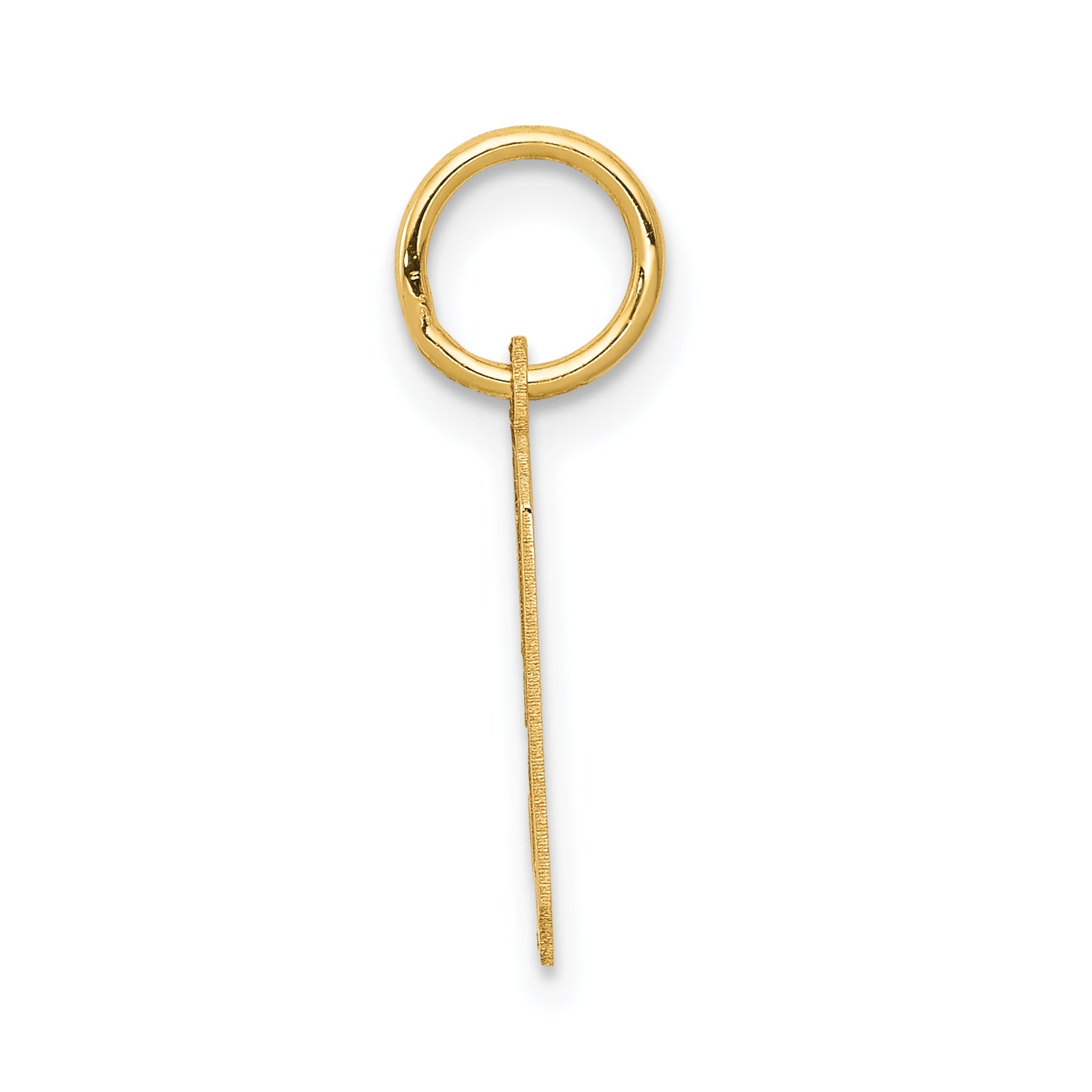 14k Yellow Gold 14k Small Satin Number 9 Charm