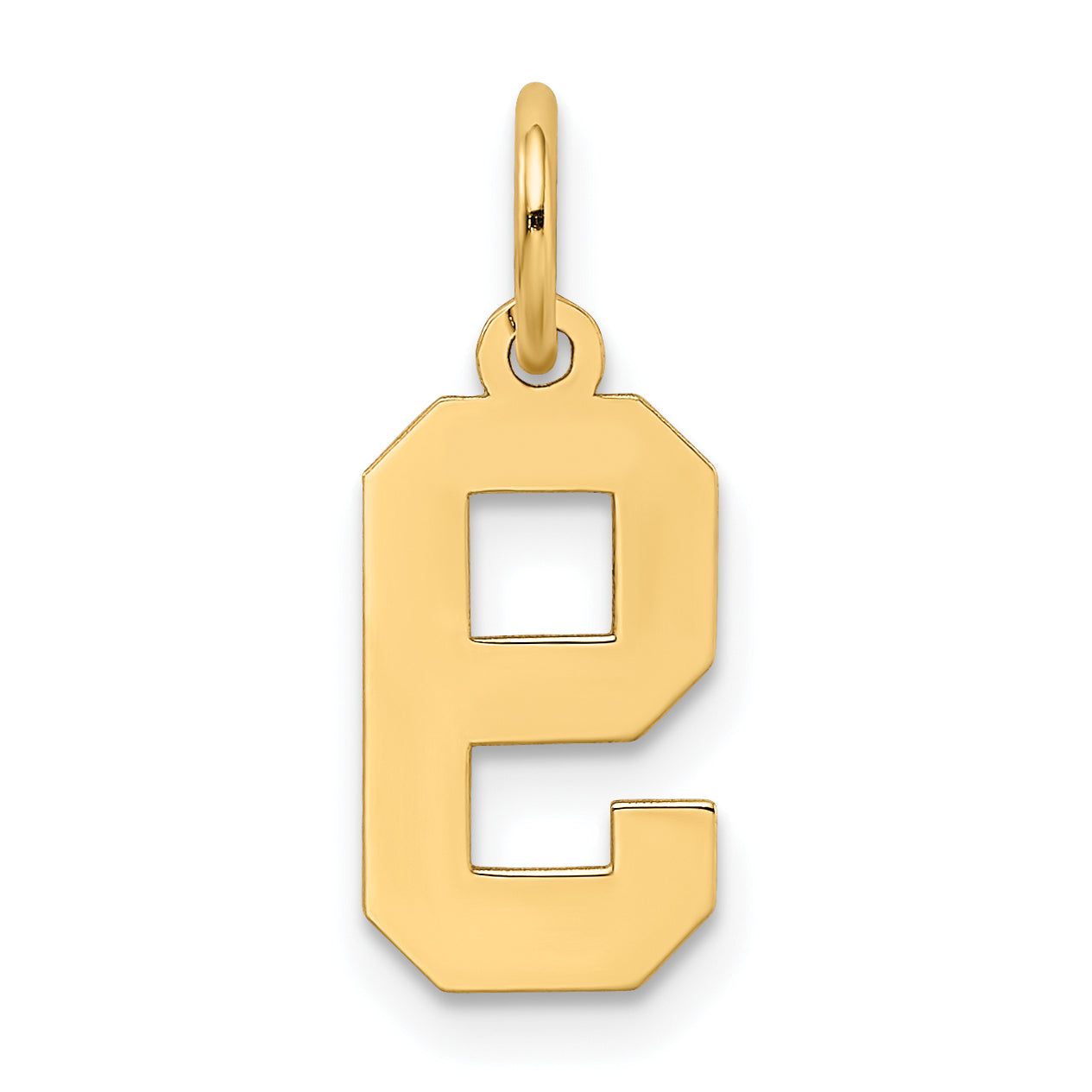 14k Yellow Gold 14k Small Satin Number 9 Charm