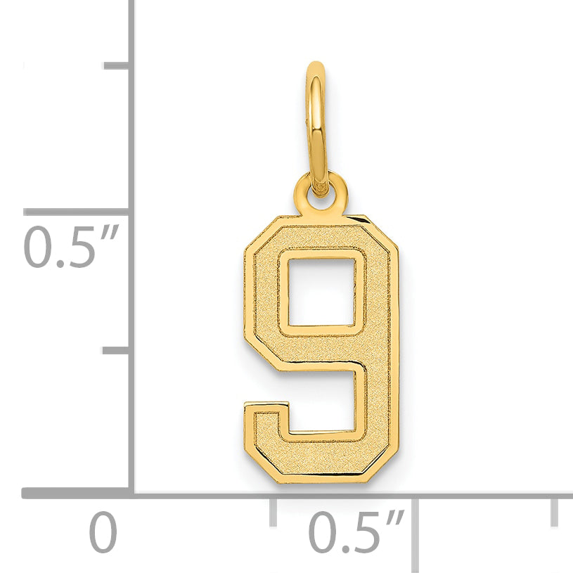 14k Yellow Gold 14k Small Satin Number 9 Charm