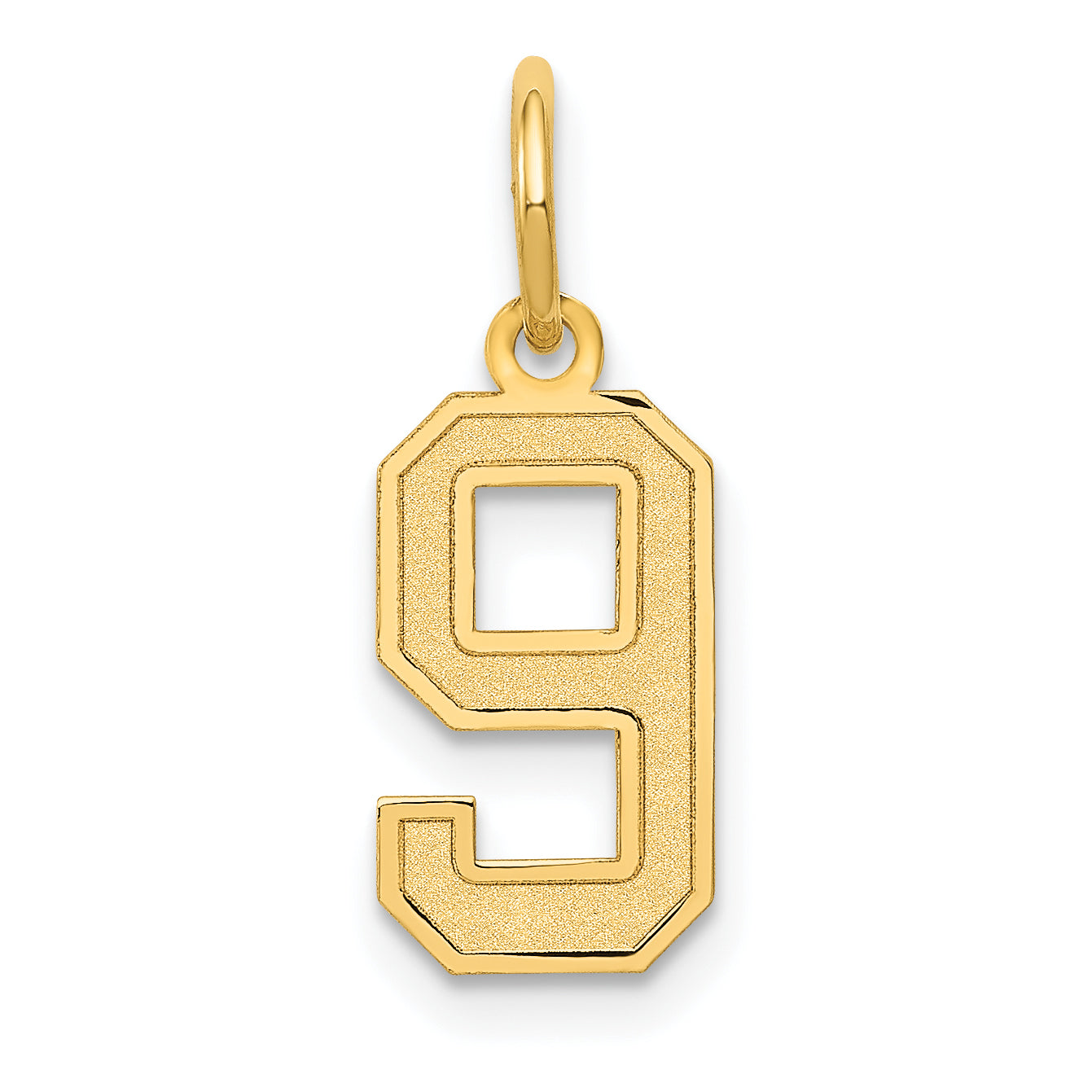 14k Yellow Gold 14k Small Satin Number 9 Charm