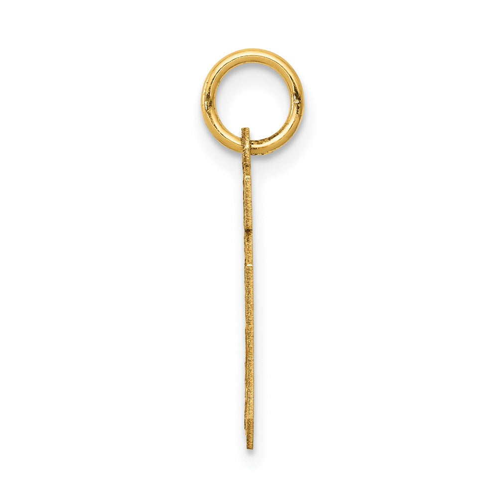 14k Yellow Gold 14k Small Satin Number 10 Charm