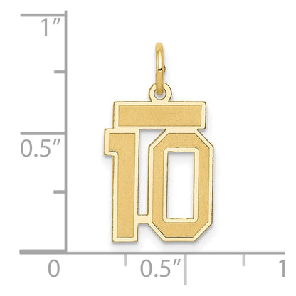 14k Yellow Gold 14k Small Satin Number 10 Charm