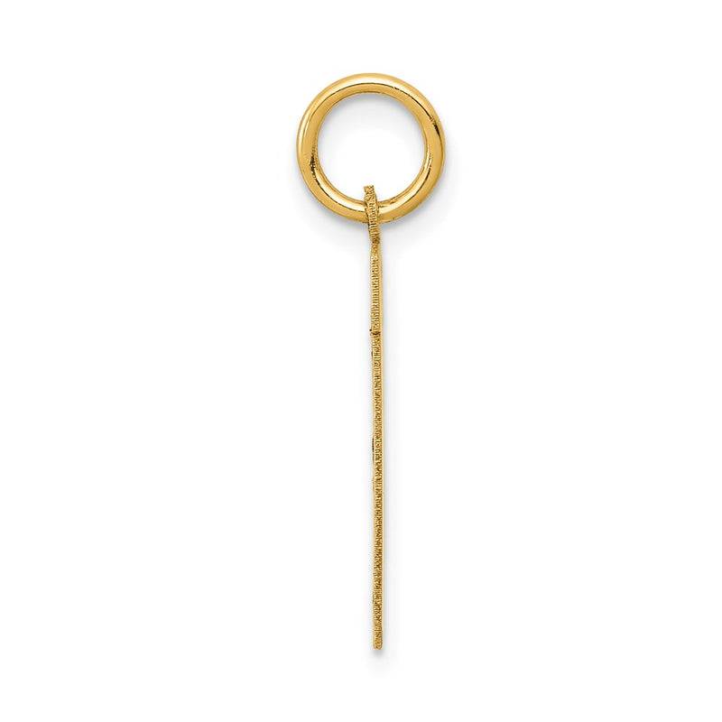 14k Yellow Gold 14k Small Satin Number 11 Charm