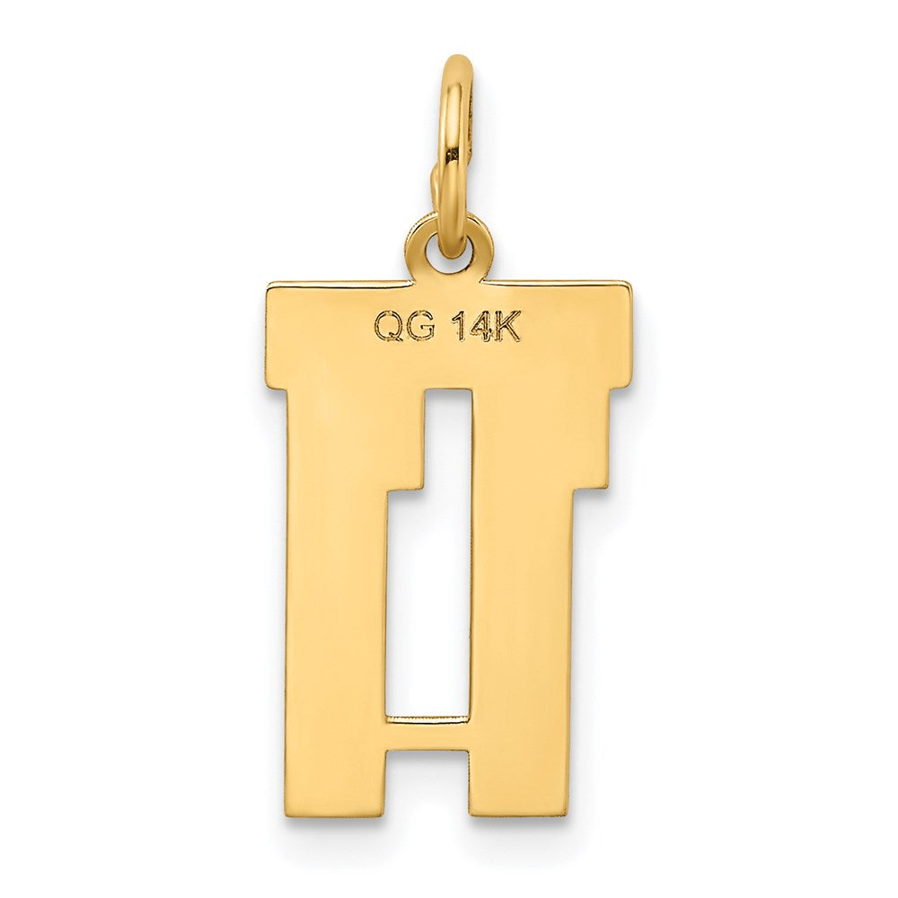 14k Yellow Gold 14k Small Satin Number 11 Charm
