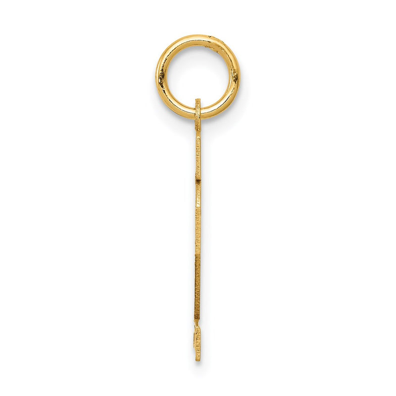 14k Yellow Gold 14k Small Satin Number 12 Charm