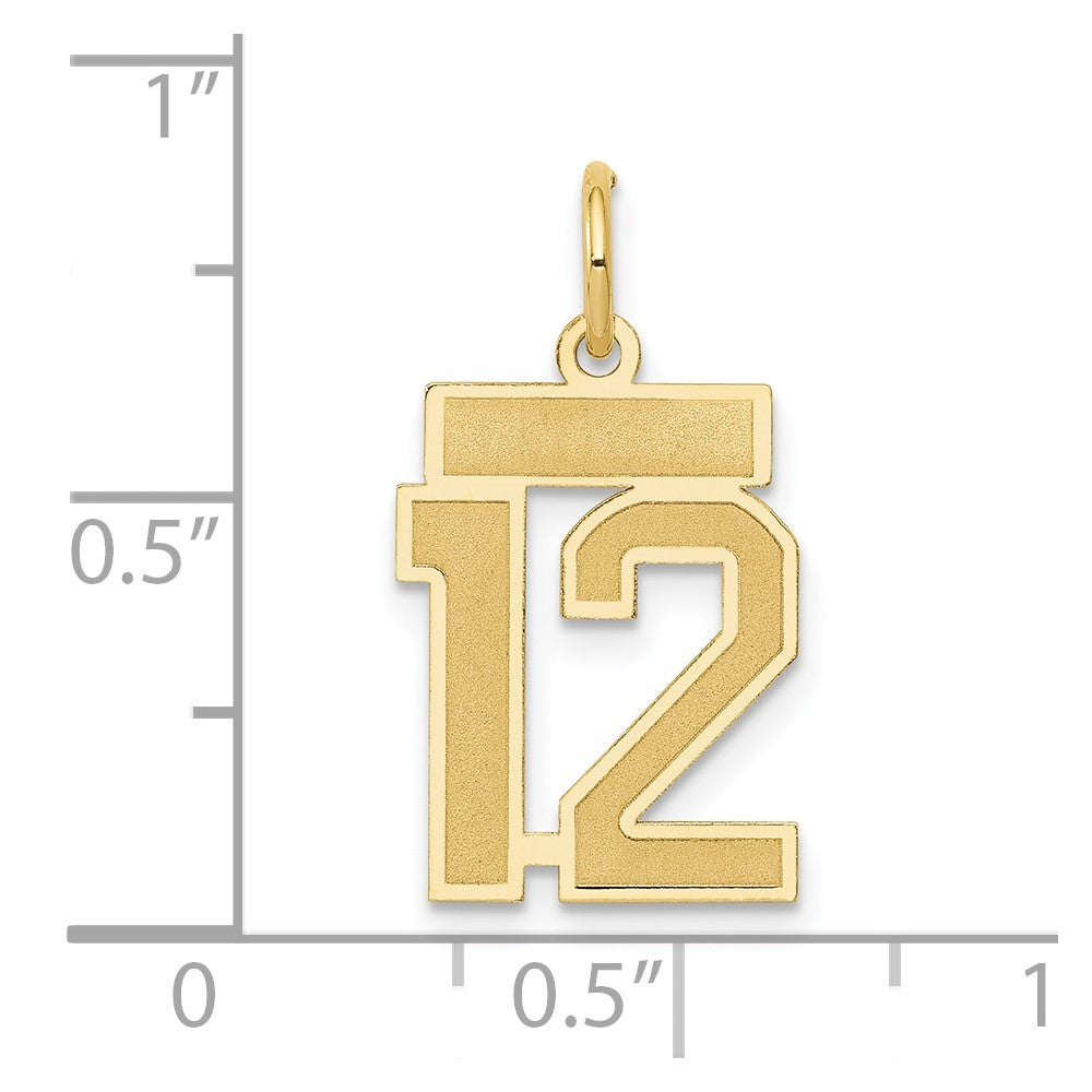 14k Yellow Gold 14k Small Satin Number 12 Charm