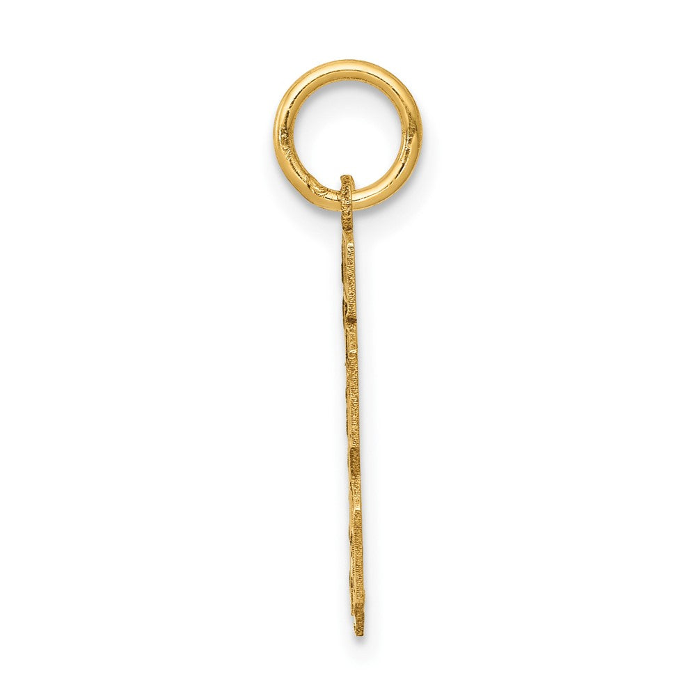 14k Yellow Gold 14k Small Satin Number 13 Charm