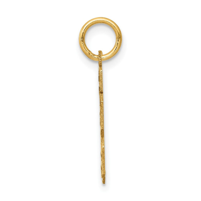 14k Yellow Gold 14k Small Satin Number 13 Charm
