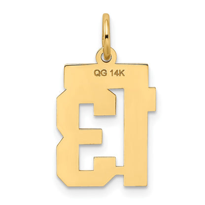 14k Yellow Gold 14k Small Satin Number 13 Charm