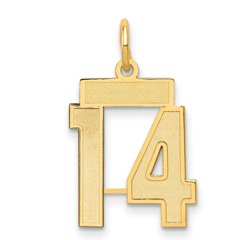 14k Yellow Gold 14k Small Satin Number 14 Charm