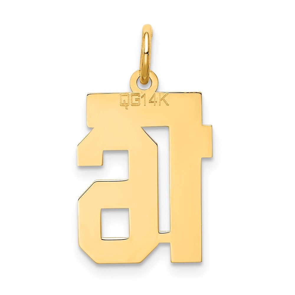 14k Yellow Gold 14k Small Satin Number 16 Charm