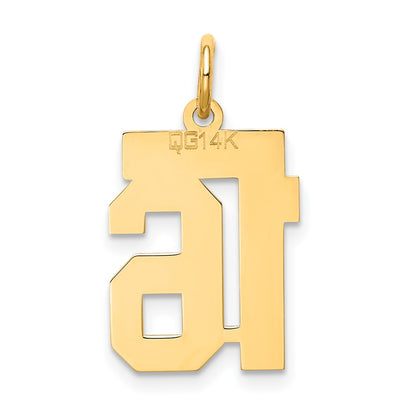 14k Yellow Gold 14k Small Satin Number 16 Charm