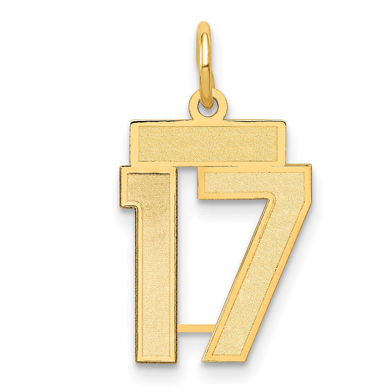 14k Yellow Gold 14k Small Satin Number 17 Charm