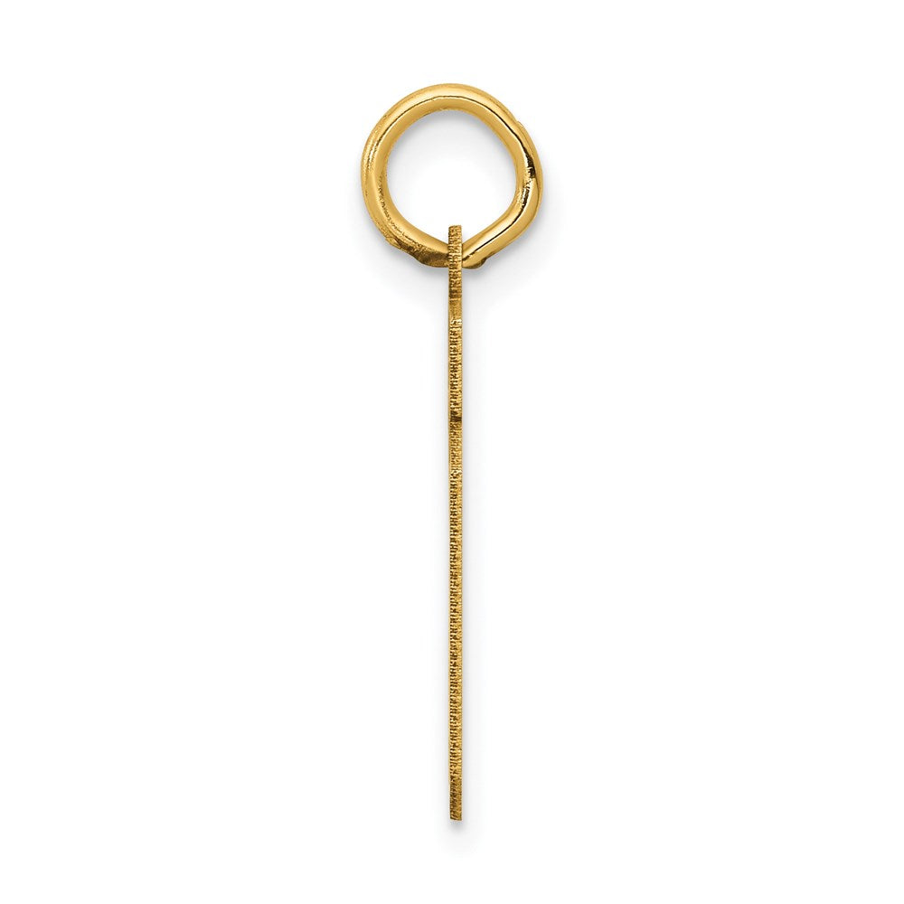 14k Yellow Gold 14k Small Satin Number 19 Charm