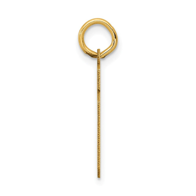 14k Yellow Gold 14k Small Satin Number 19 Charm