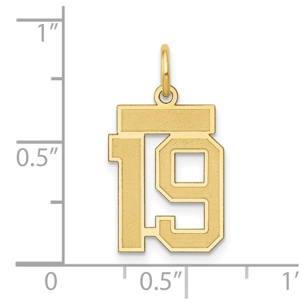 14k Yellow Gold 14k Small Satin Number 19 Charm