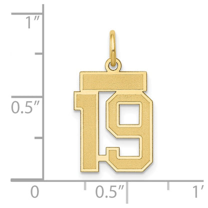 14k Yellow Gold 14k Small Satin Number 19 Charm
