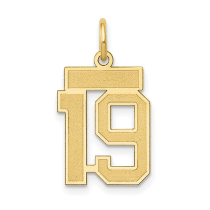 14k Yellow Gold 14k Small Satin Number 19 Charm