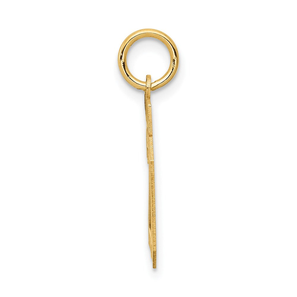 14k Yellow Gold 14k Small Satin Number 20 Charm