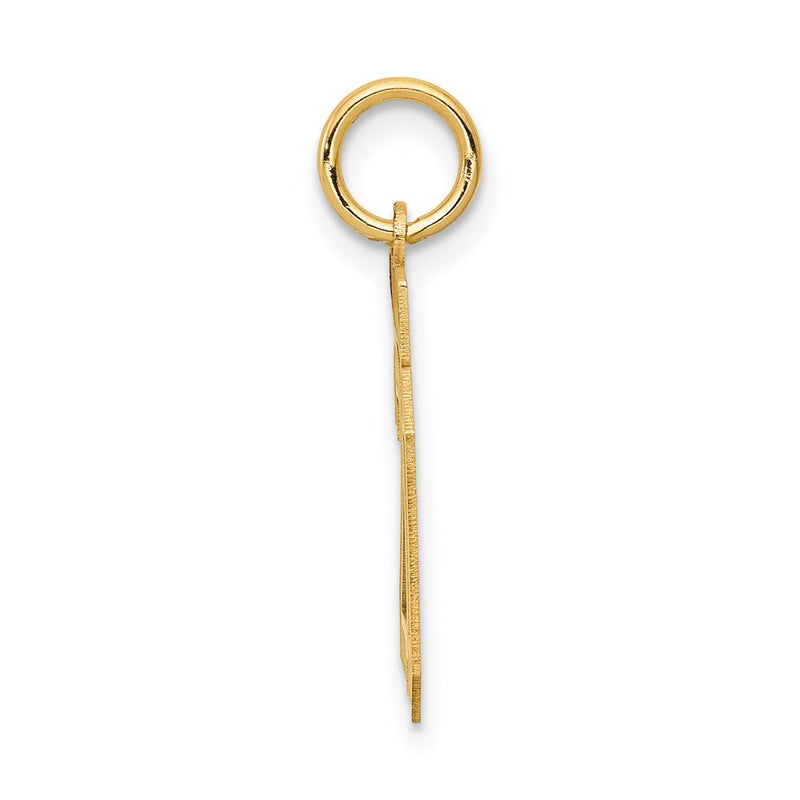 14k Yellow Gold 14k Small Satin Number 20 Charm