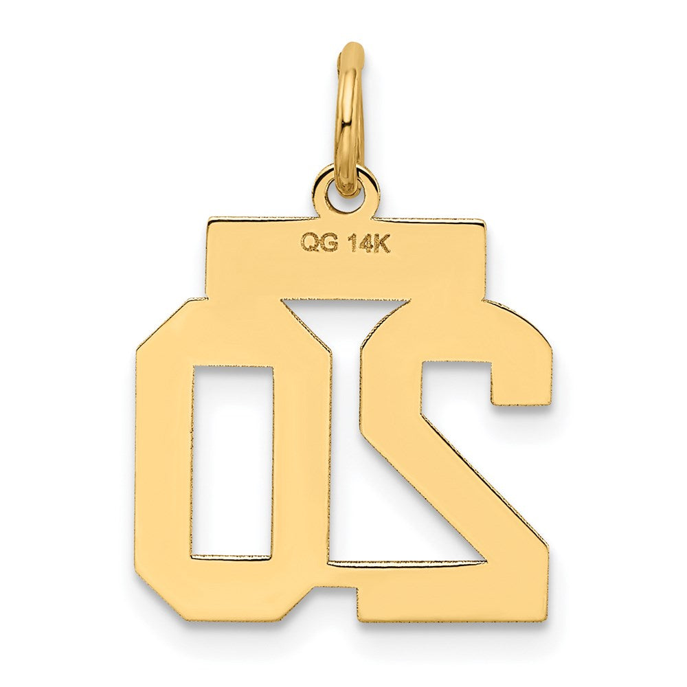 14k Yellow Gold 14k Small Satin Number 20 Charm