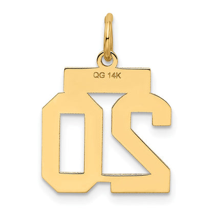 14k Yellow Gold 14k Small Satin Number 20 Charm