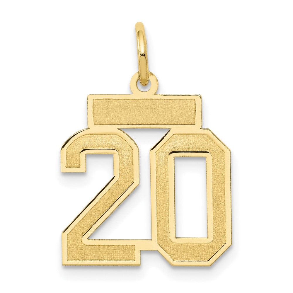 10K Yellow Gold Small Satin Number 20 Charm