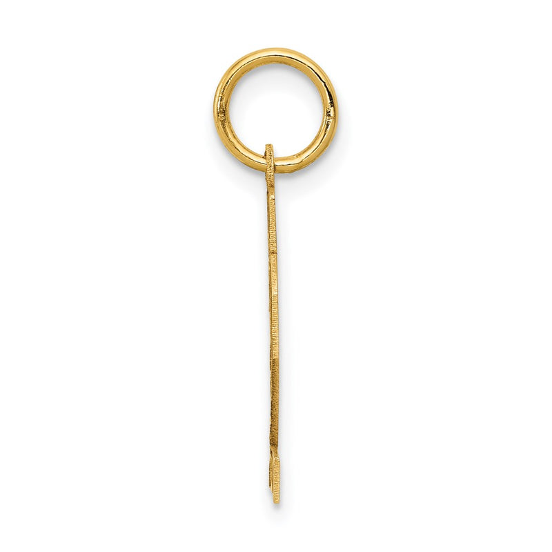 14k Yellow Gold 14k Small Satin Number 22 Charm