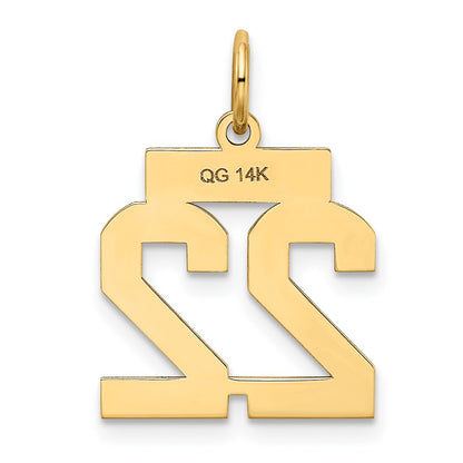 14k Yellow Gold 14k Small Satin Number 22 Charm