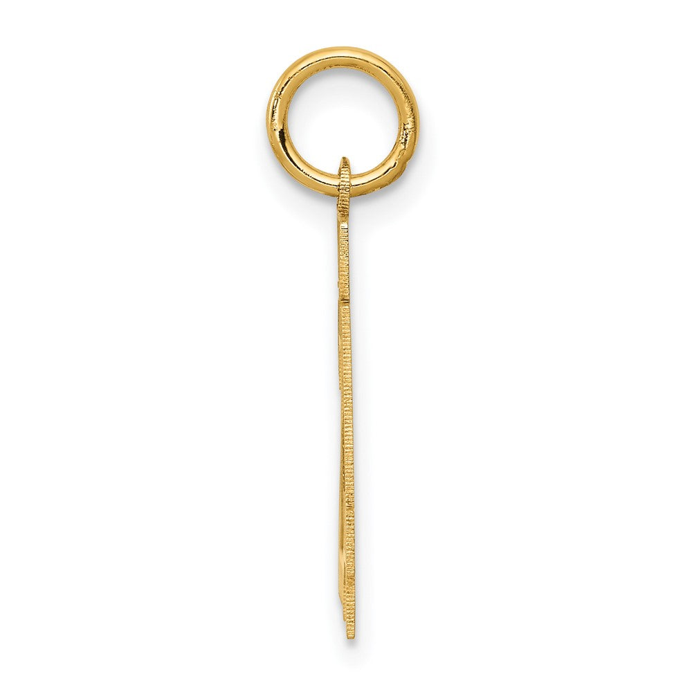 14k Yellow Gold 14k Small Satin Number 24 Charm