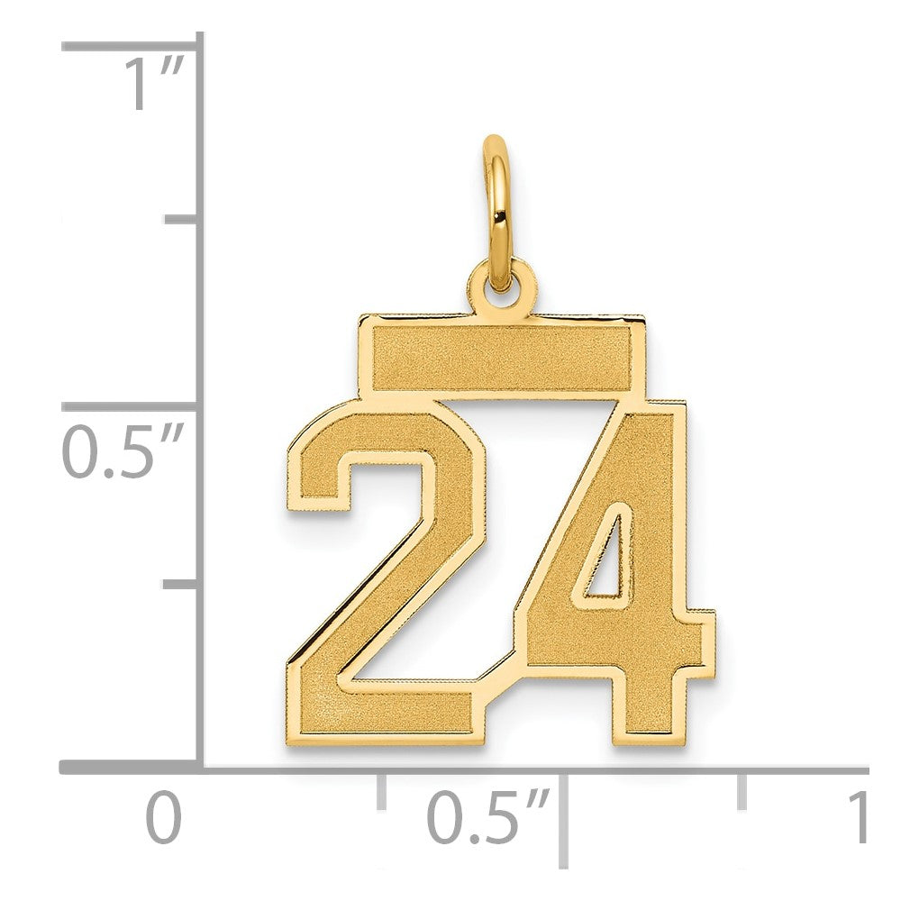 14k Yellow Gold 14k Small Satin Number 24 Charm