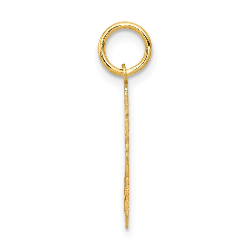 14k Yellow Gold 14k Small Satin Number 25 Charm