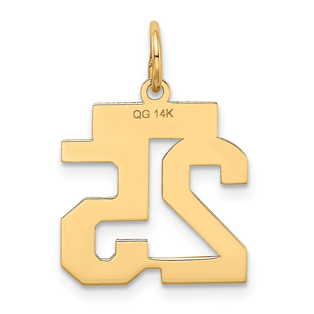 14k Yellow Gold 14k Small Satin Number 25 Charm