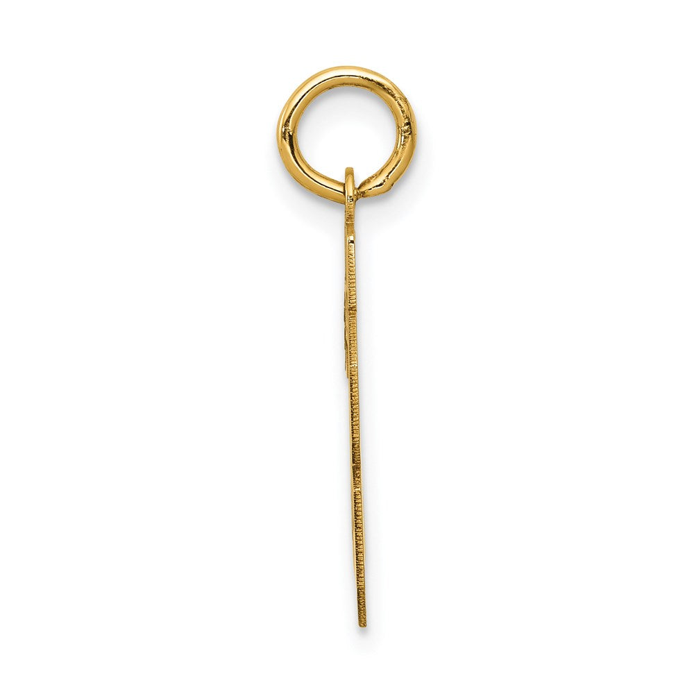 14k Yellow Gold 14k Small Satin Number 28 Charm