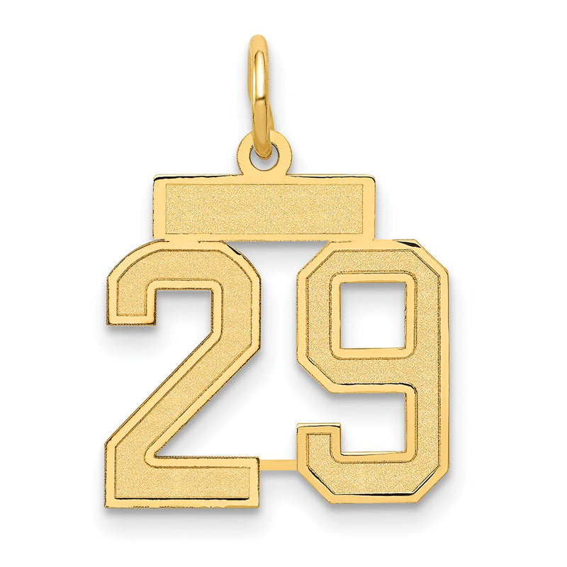 14k Yellow Gold 14k Small Satin Number 29 Charm