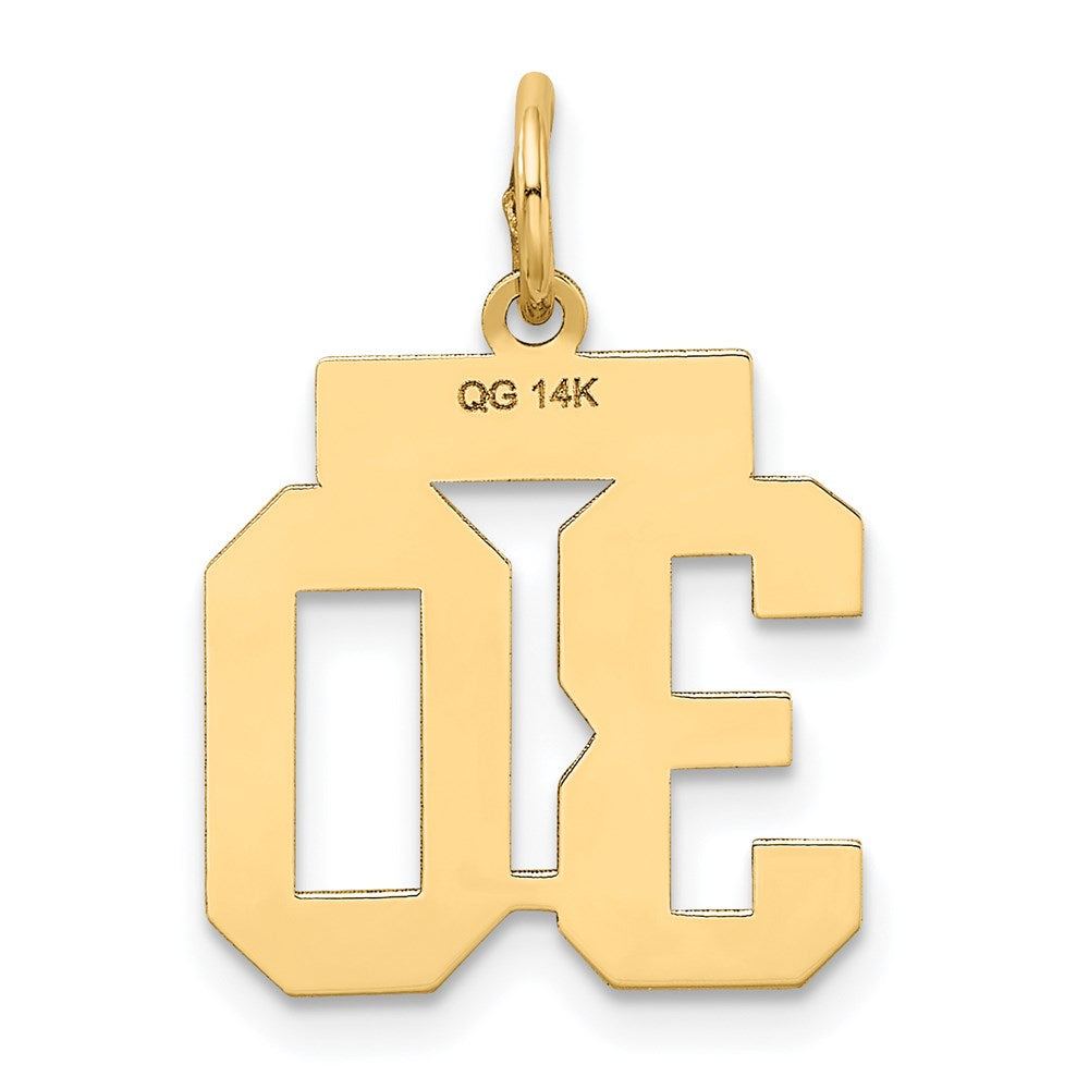 14k Yellow Gold 14k Small Satin Number 30 Charm