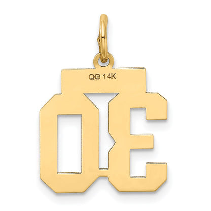 14k Yellow Gold 14k Small Satin Number 30 Charm
