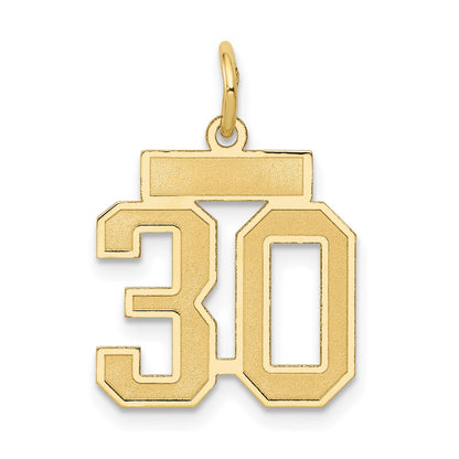 14k Yellow Gold 14k Small Satin Number 30 Charm
