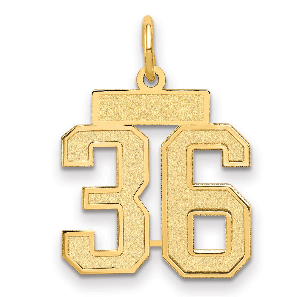 14k Yellow Gold 14k Small Satin Number 36 Charm