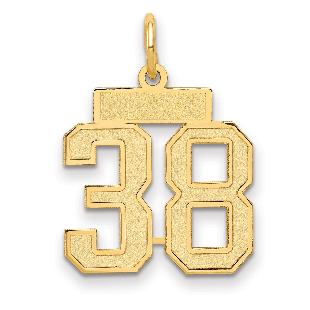 10K Yellow Gold Small Satin Number 38 Charm