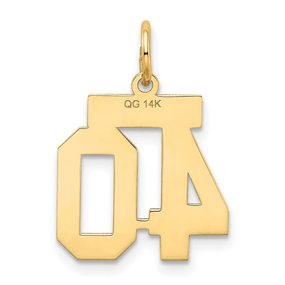 14k Yellow Gold 14k Small Satin Number 40 Charm