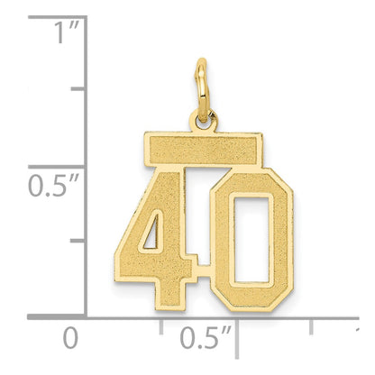 10K Yellow Gold 10Ky Small Satin Number 40 Charm