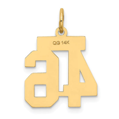 14K Yellow Gold Small Satin Number 46 Charm