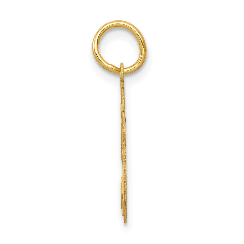 14K Yellow Gold Small Satin Number 50 Charm